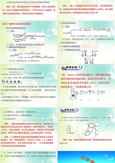 2012年高考第一轮复习 名师金典 必修1 第3章 第1、3节 细胞膜——系统的边界ppt卡卡办公