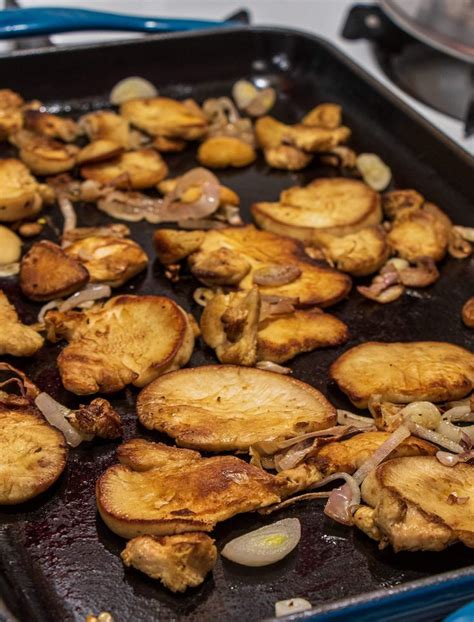 Sautéed Lions Mane Mushroom Stuffed Mushrooms Mushroom Recipes