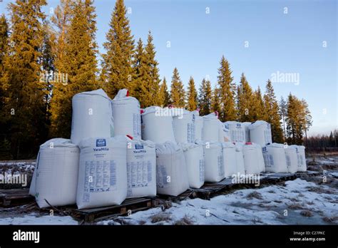 Minze Von Finnland Fotos Und Bildmaterial In Hoher Aufl Sung Alamy