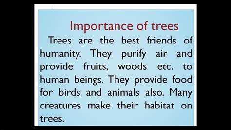 Essay On Importance Of Trees In Our Lives Importance Of 60 OFF