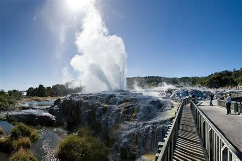 Private Tour Rotorua And Waitomo Caves Day Trip From Auckland