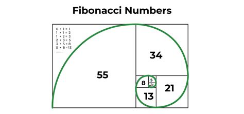 Fibonacci Day Unlocking The Magic Of Fibonacci Sequence On November