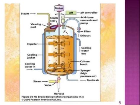 Fermentor design