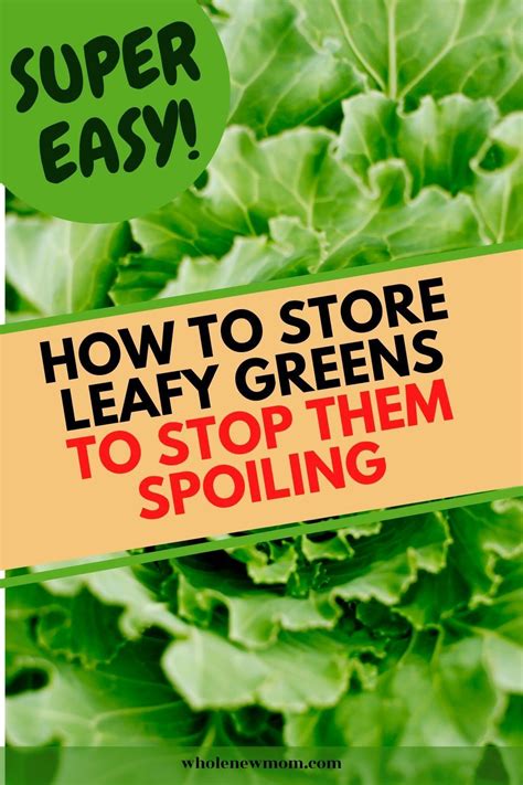 How To Store Leafy Greens In The Fridge The Best Way Healthy Life