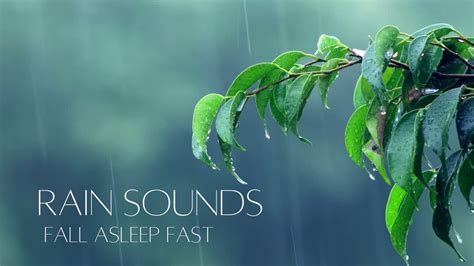 Rain Sounds For Sleep Stress Relief Relaxation Fall Asleep Fast