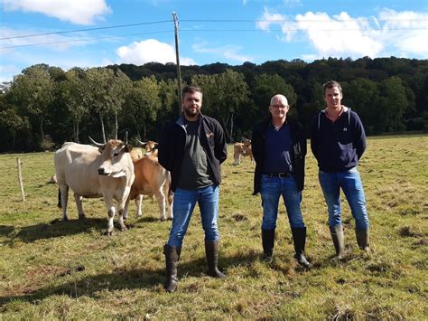 Des Aubracs Et Des Porcs Journal Paysan Breton