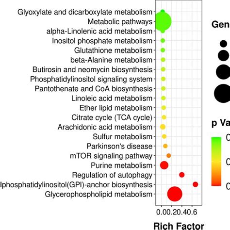 Analysis Of Kegg Pathway Of Differential Metabolites The X Axis Is The