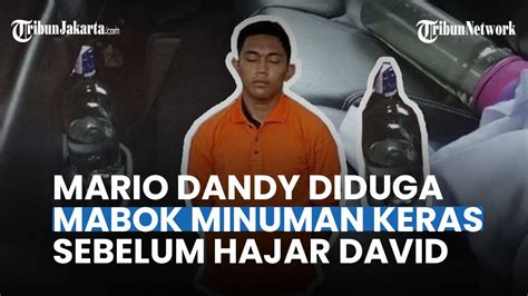 Katanya Mario Dandy Bebas Alkohol Saat Aniaya David Tapi Ada Miras