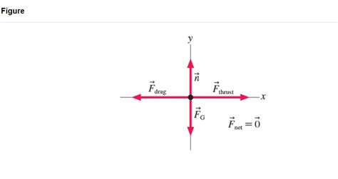 Solved FigureSelect the correct direction of the velocity | Chegg.com