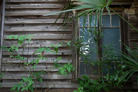 A Dark And Abandoned Old Tokyo House Tokyo Times