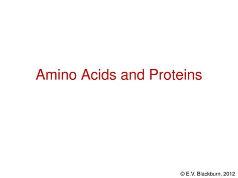 Ppt Amino Acids And Proteins Powerpoint Presentation Free Download Id 492382