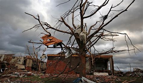 The Turner Report Tree Damage In Joplin Tornado Described In New York