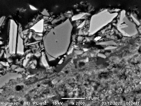 Scanning electron micrograph of a cross-sectional sample of the ...
