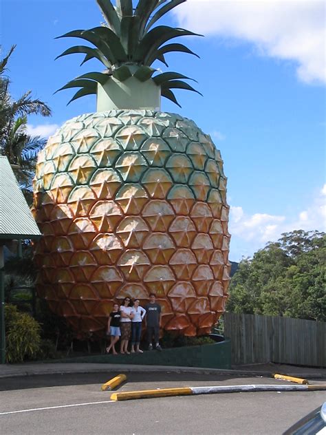 big pineapple wikipedia