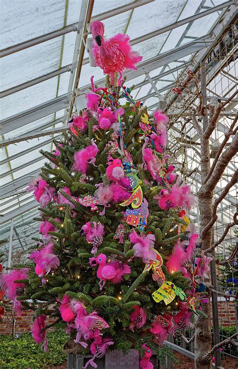 Flamingo Christmas Tree Photograph By Sally Weigand Fine Art America