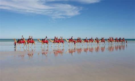 Broome Cable Beach Morning Camel Ride | Experience Oz