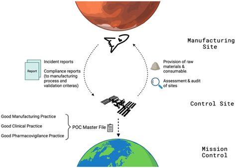 Schematic Illustrating A Proposed Regulatory Framework Created With Download Scientific