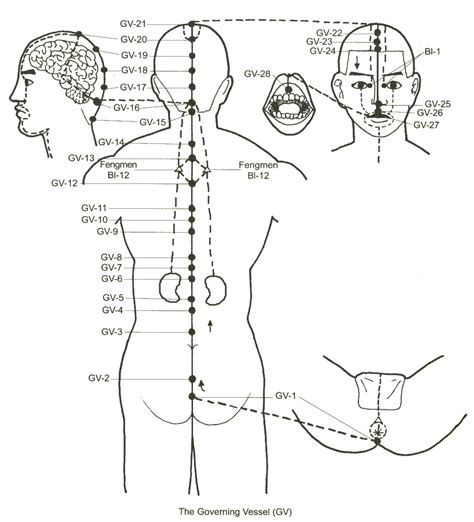 Meridians Meridians Acupuncture Shiatsu Massage