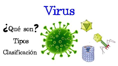 Qué son los Virus Tipos y Clasificación Fácil y Rápido