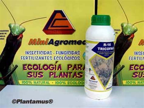 Anti Fungos Ecológicos Trichoderma Bio 16 — Plantamus Nursery Online