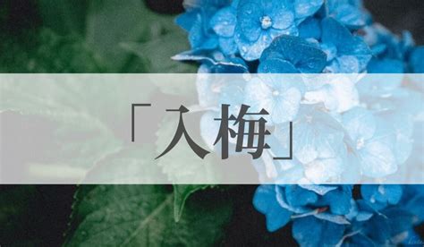 「入梅」の意味と読み方とは？いつの季語？「梅雨」との違いや俳句も紹介｜語彙力com