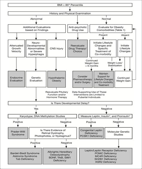 Pediatric Obesity Treatment Programs