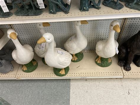 The Porch Goose Club of America | Joann’s in Indianapolis (Castleton
