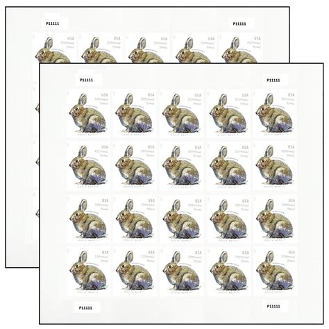 Brush Rabbit Additional Ounce Rate Usps Postage Stamp 2 Sheets Of 20 Us First Class Postal