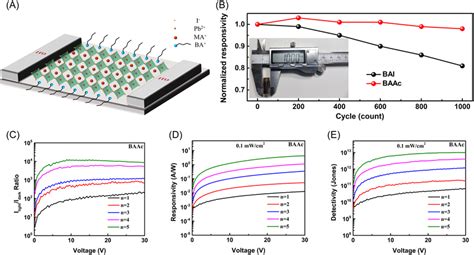 Flexible photodetectors. (A) Schematic of the 2DRP perovskite films ... 