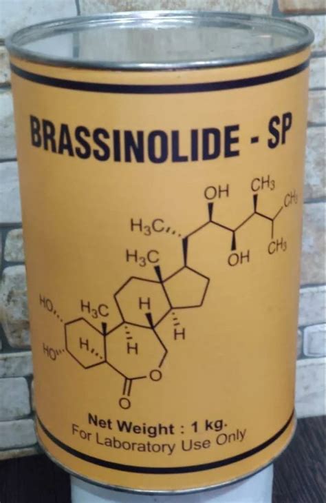 Brassinolide Kg At Rs Kg In Dadra Id