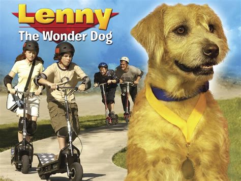 Lenny the Wonder Dog Pictures - Rotten Tomatoes