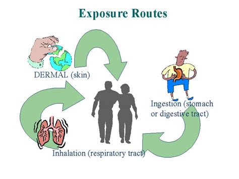 What Are The 4 Routes Of Exposure At Mario Marcum Blog