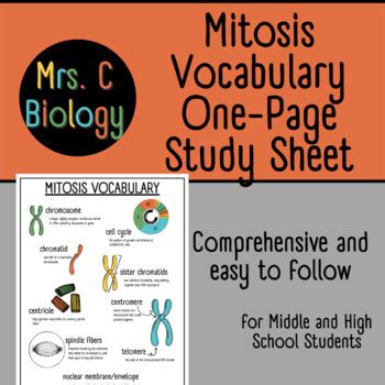 Mitosis Vocabulary One Page Study Sheet By MrsCBiology TPT