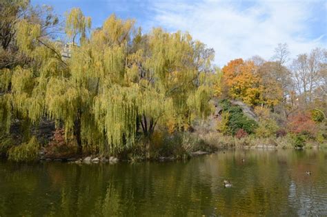 Morningside Park : NYC Parks