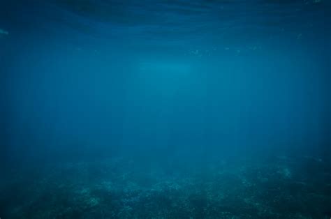 Free Images Sea Ocean Diving Underwater Blue Aquatic Reef Aqua