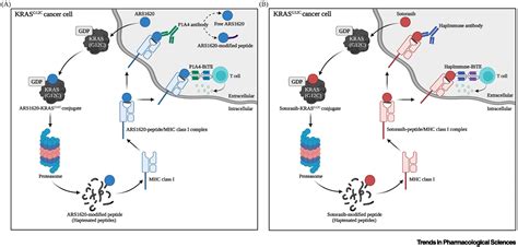 Chemically Modified Neoantigen Based Immunotherapy For Targeting