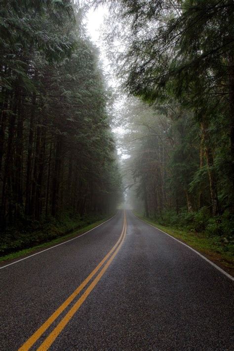 Forks Wa By Steven Clouse 500px Travel Aesthetic Dark Naturalism