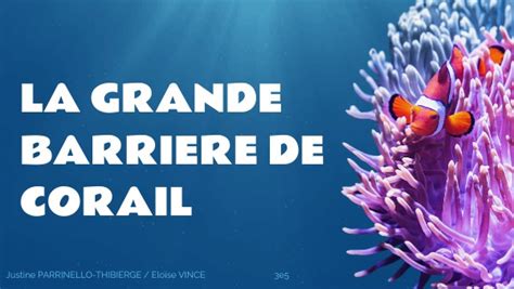 La Grande Barriere De Corail Exposé Svt