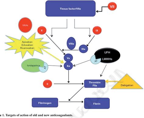 Figure From Pharmacology Of New Oral Anticoagulants Mechanism Of