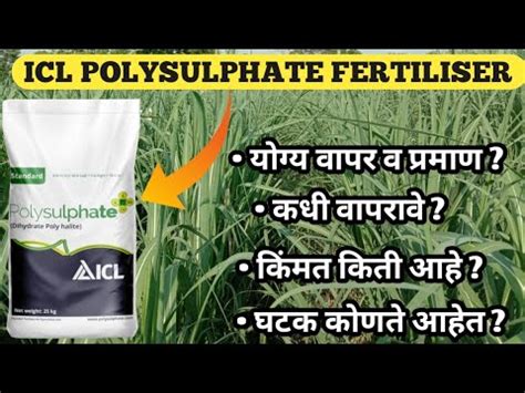 Icl Polysulphate Fertiliser Polysulphate Fertilizer Icl