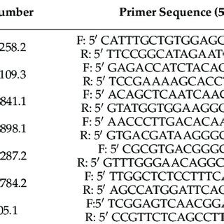 Primer Sequences And Amplicon Sizes For Target Lipid Metabolism Related