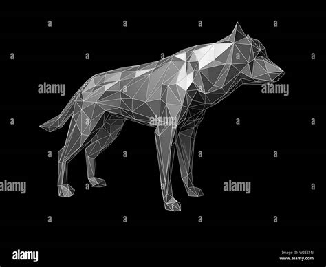 Low poly wolf Black and White Stock Photos & Images - Alamy