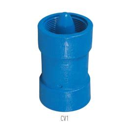 Plastic Check Valves Pentair Aes