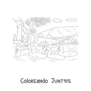 Dibujos De Lagos Para Colorear Gratis Coloreando Juntos