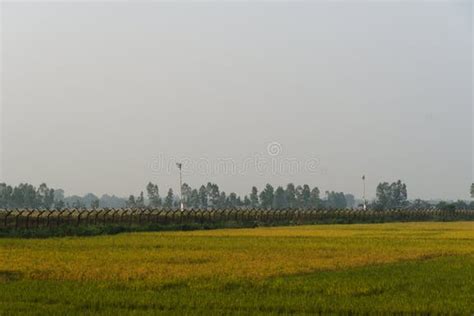 291 West Bengal Border Stock Photos - Free & Royalty-Free Stock Photos ...