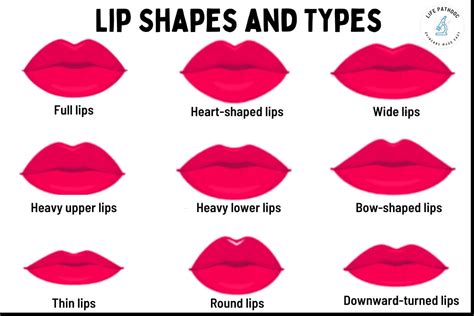 guide    types  lip fillers   porn website