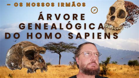 Árvore genealógica do Homo sapiens os nossos irmãos parte 02 da