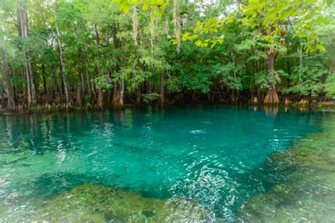 Manatee Springs State Park