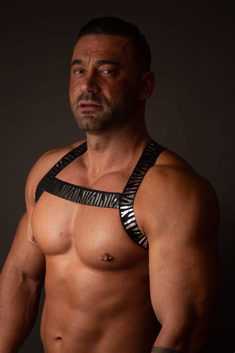 Silver Tiger Harness Elastic Shoulder Elastic Harness Gay Outfit Lgbtq Pride Gay Pride Men Body