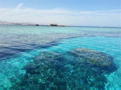 From Hurghada Snorkeling Adventure At Mahmya Island Getyourguide